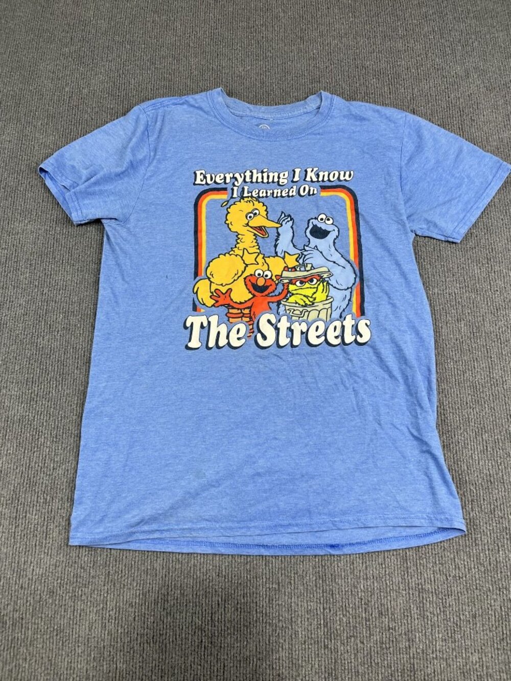 Sesame Street Mens Blue Everything I Learned On The Streets Graphic T-Shirt M